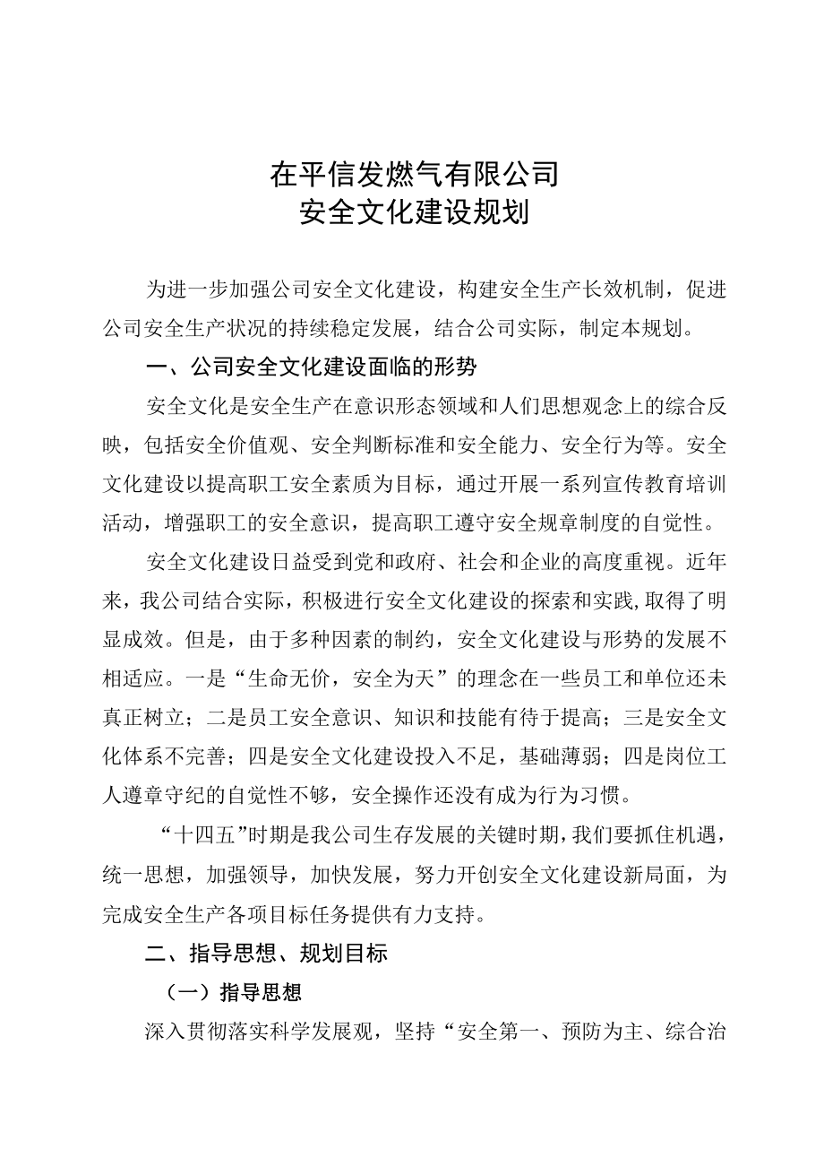 10安全文化建设规划.docx_第1页