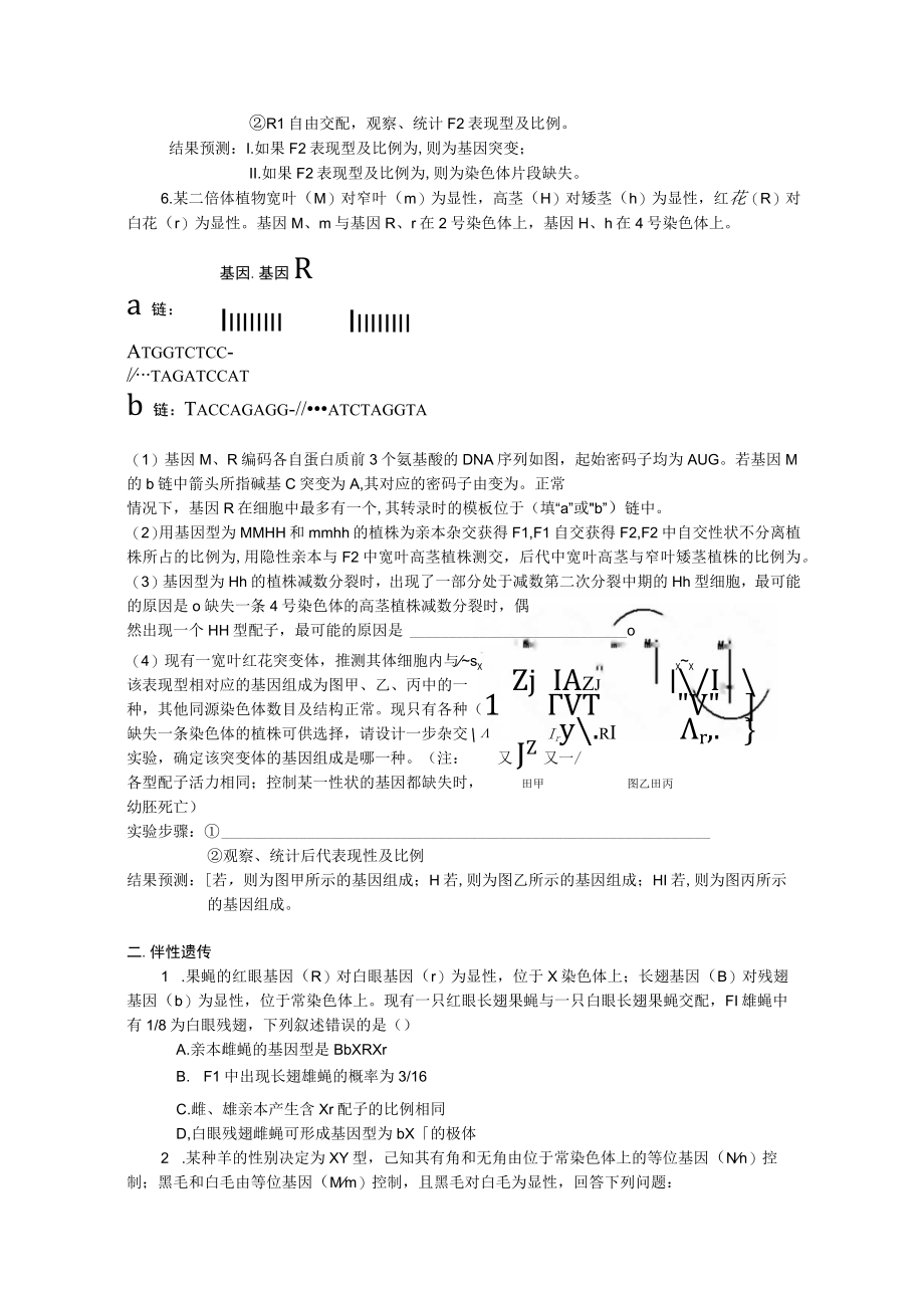 16孟德尔遗传伴性遗传和人类遗传病.docx_第3页