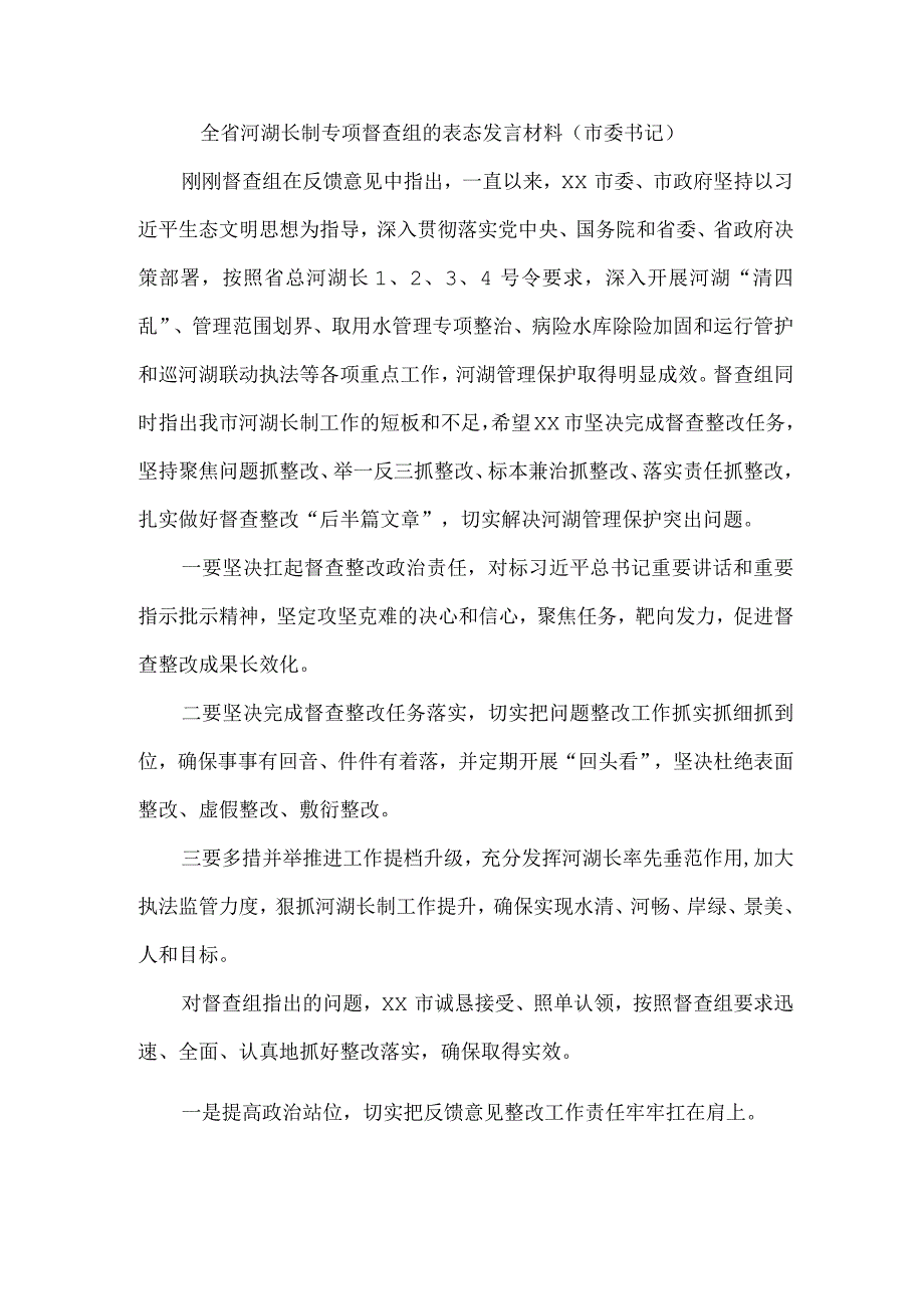 全省河湖长制专项督查组的表态发言材料市委书记.docx_第1页