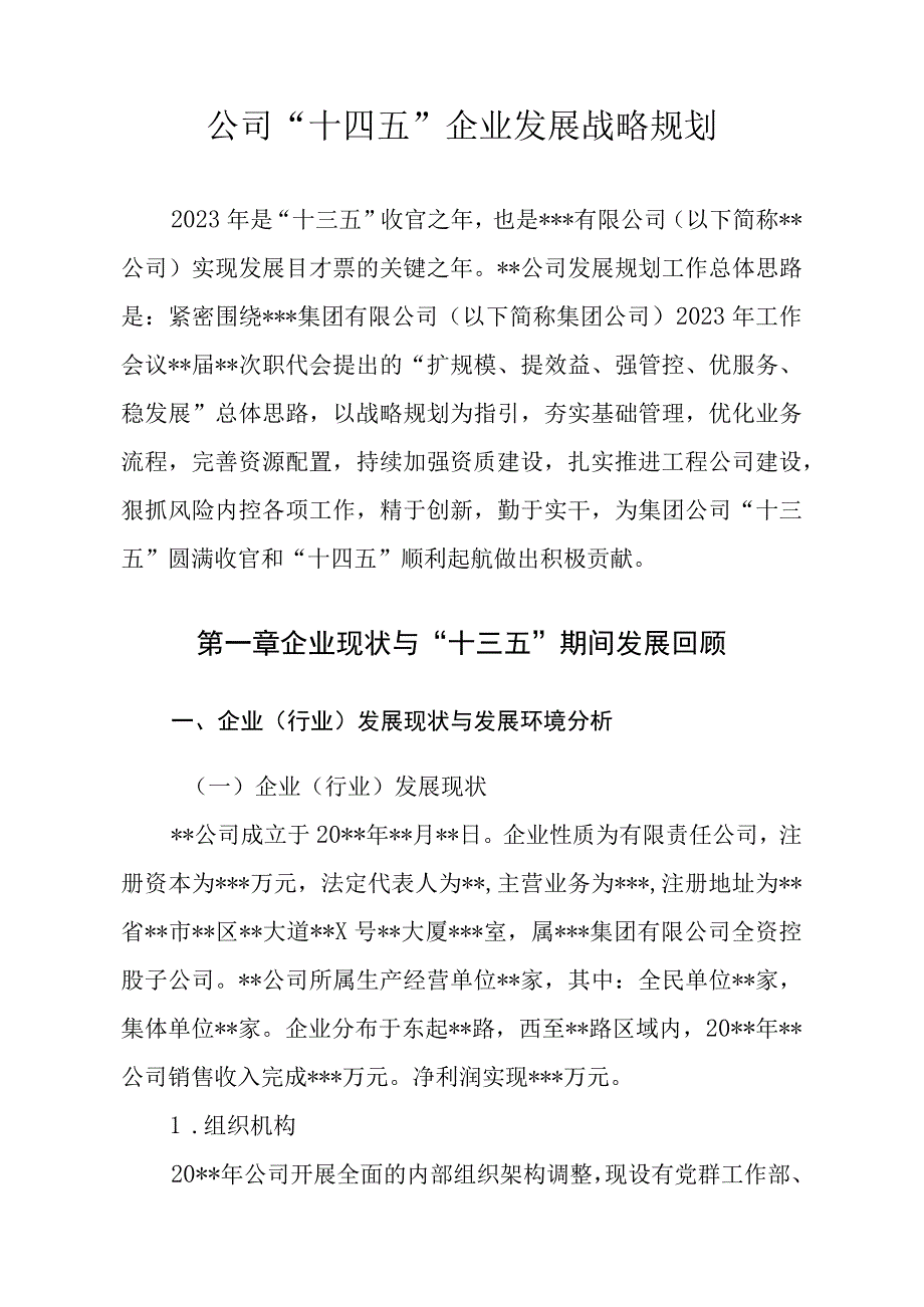 公司十四五企业发展战略规划(权威完整模板).docx_第3页