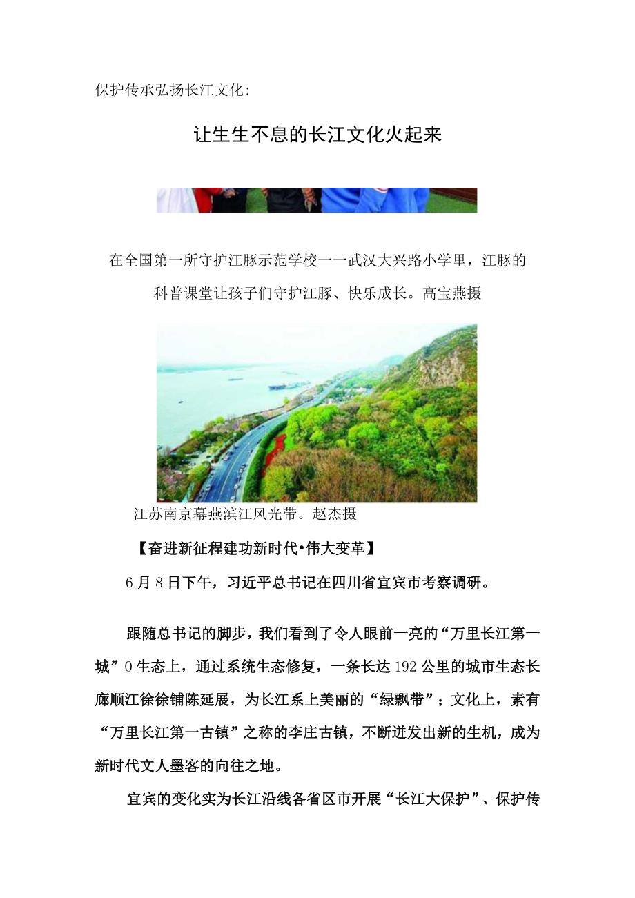 保护传承弘扬长江文化：让生生不息的长江文化火起来.docx_第1页