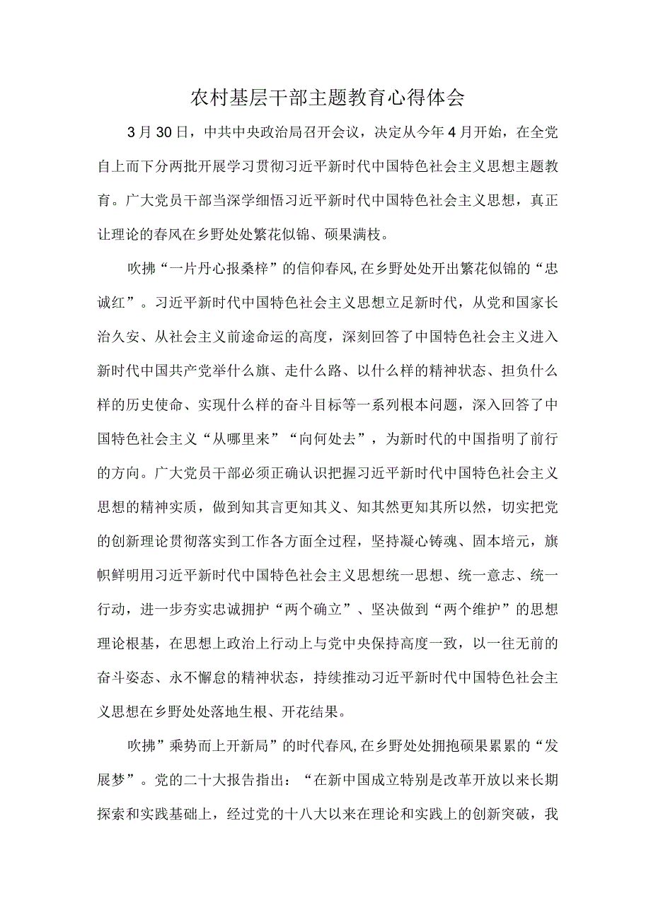 农村基层干部主题教育心得体会.docx_第1页