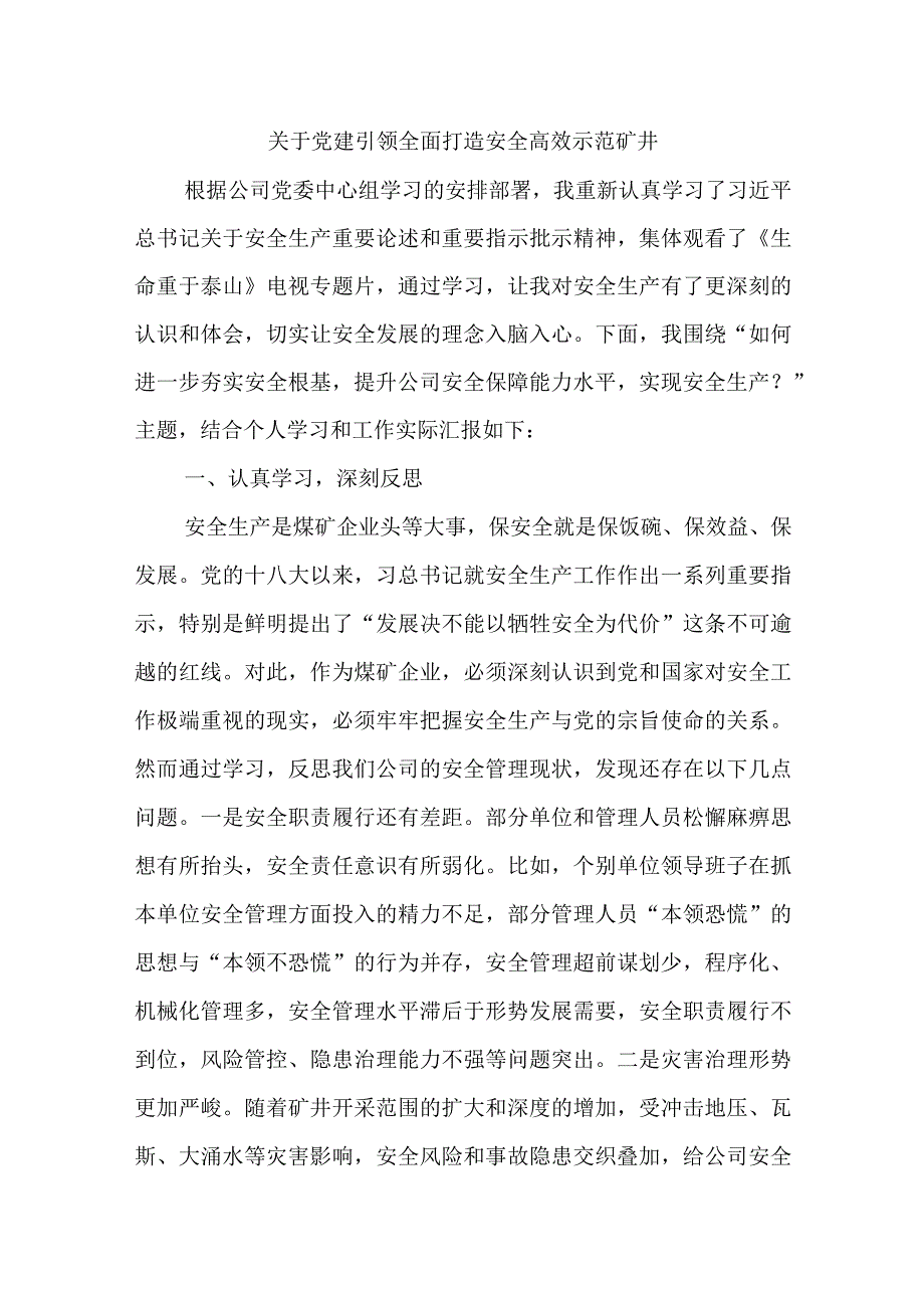 关于党建引领全面打造安全高效示范矿井精选.docx_第1页