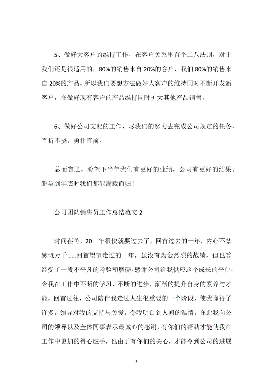 公司团队销售员工作总结范文.docx_第3页