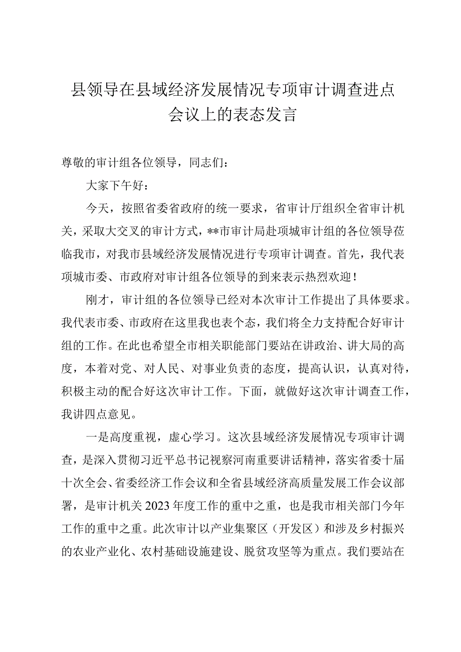 县领导在县域经济发展情况专项审计调查进点会议上的表态发言.docx_第1页