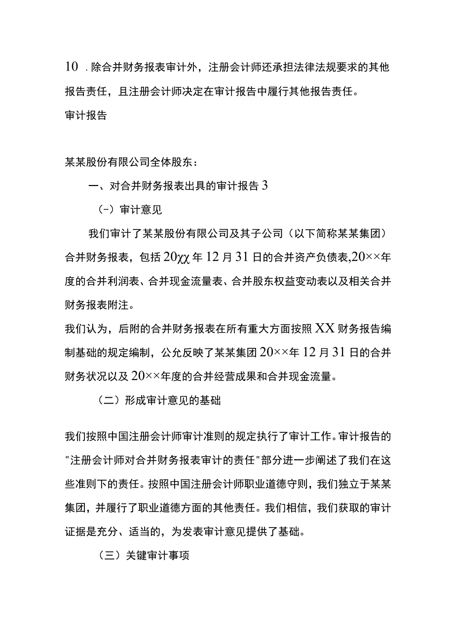 合并财务报表出具的审计报告.docx_第2页