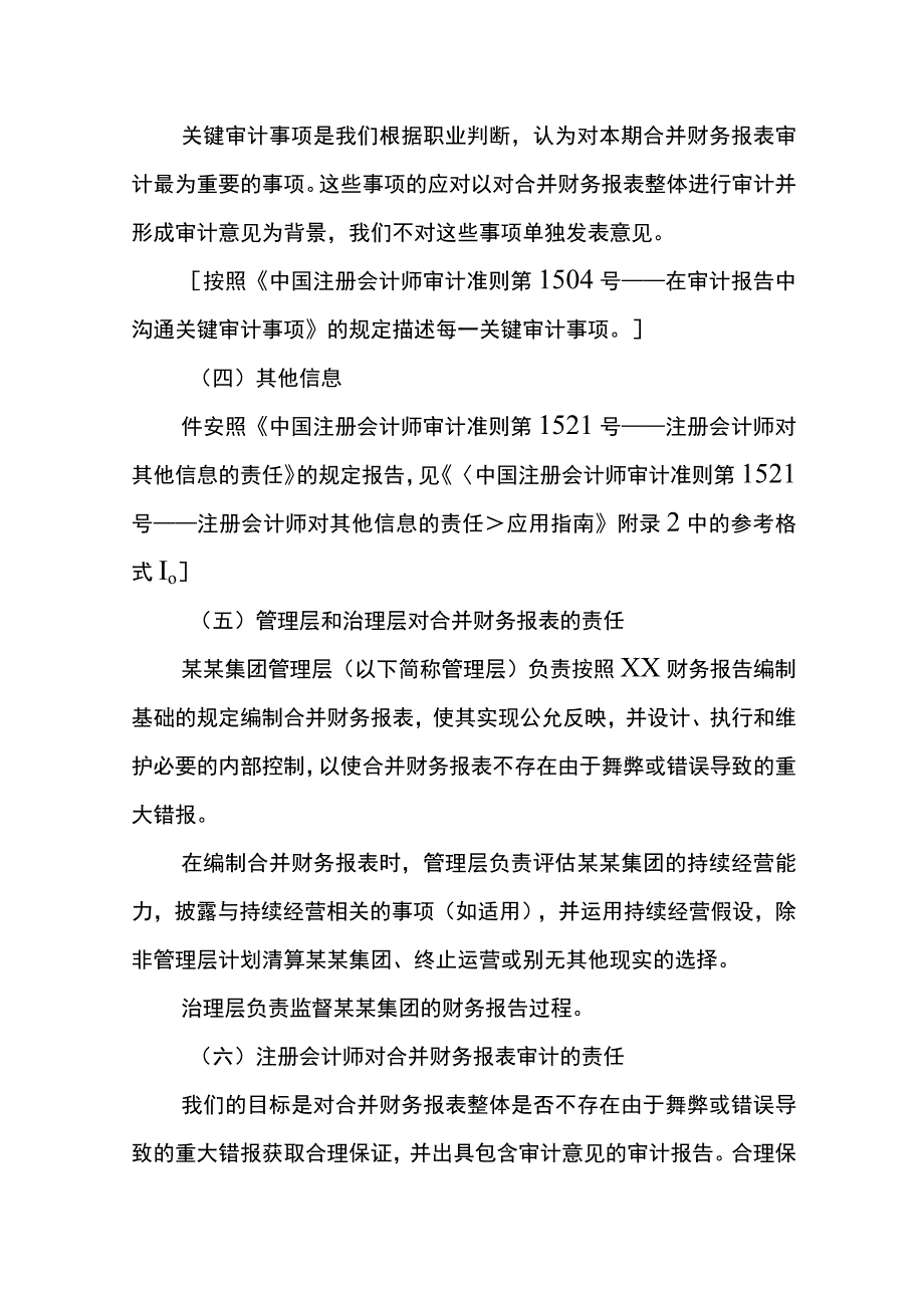 合并财务报表出具的审计报告.docx_第3页