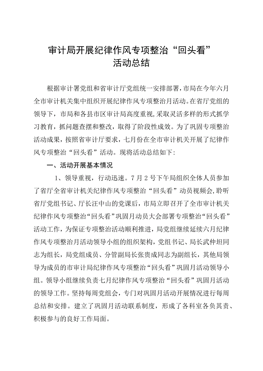 审计局开展纪律作风专项整治回头看活动总结.docx_第1页