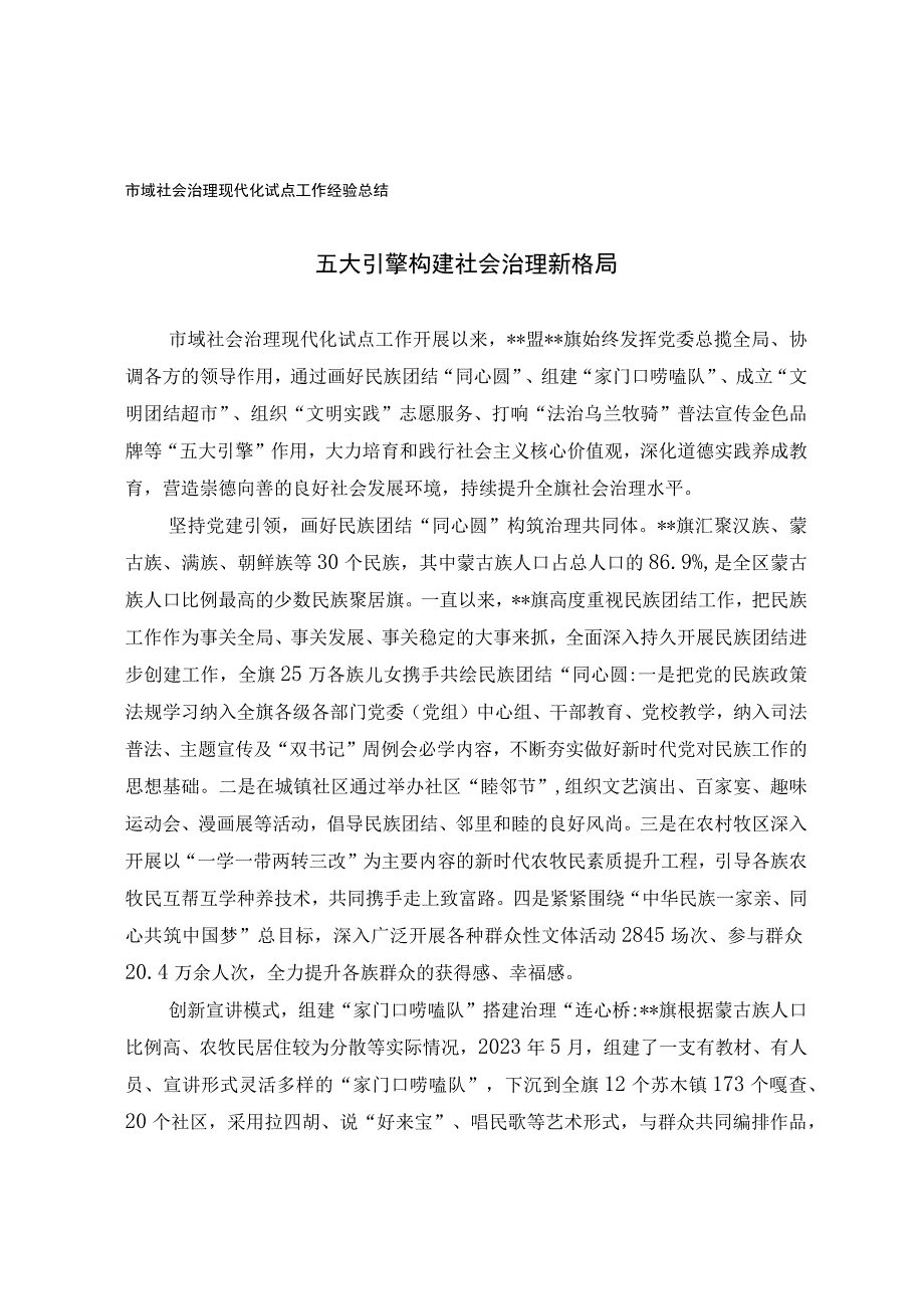 市域社会治理现代化试点工作经验总结.docx_第1页