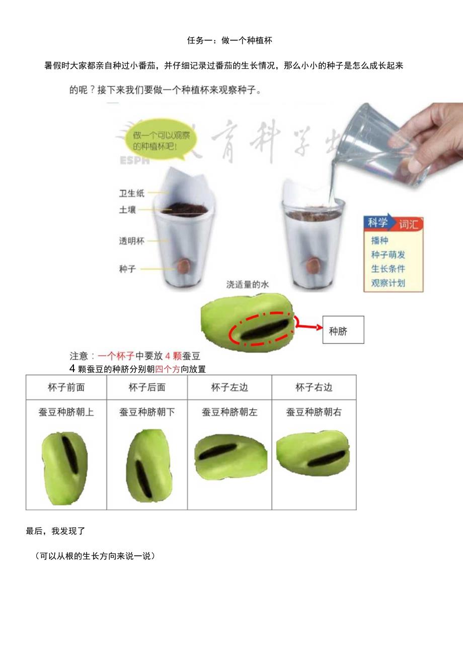 小学四年级科学寒假实践作业设计.docx_第1页