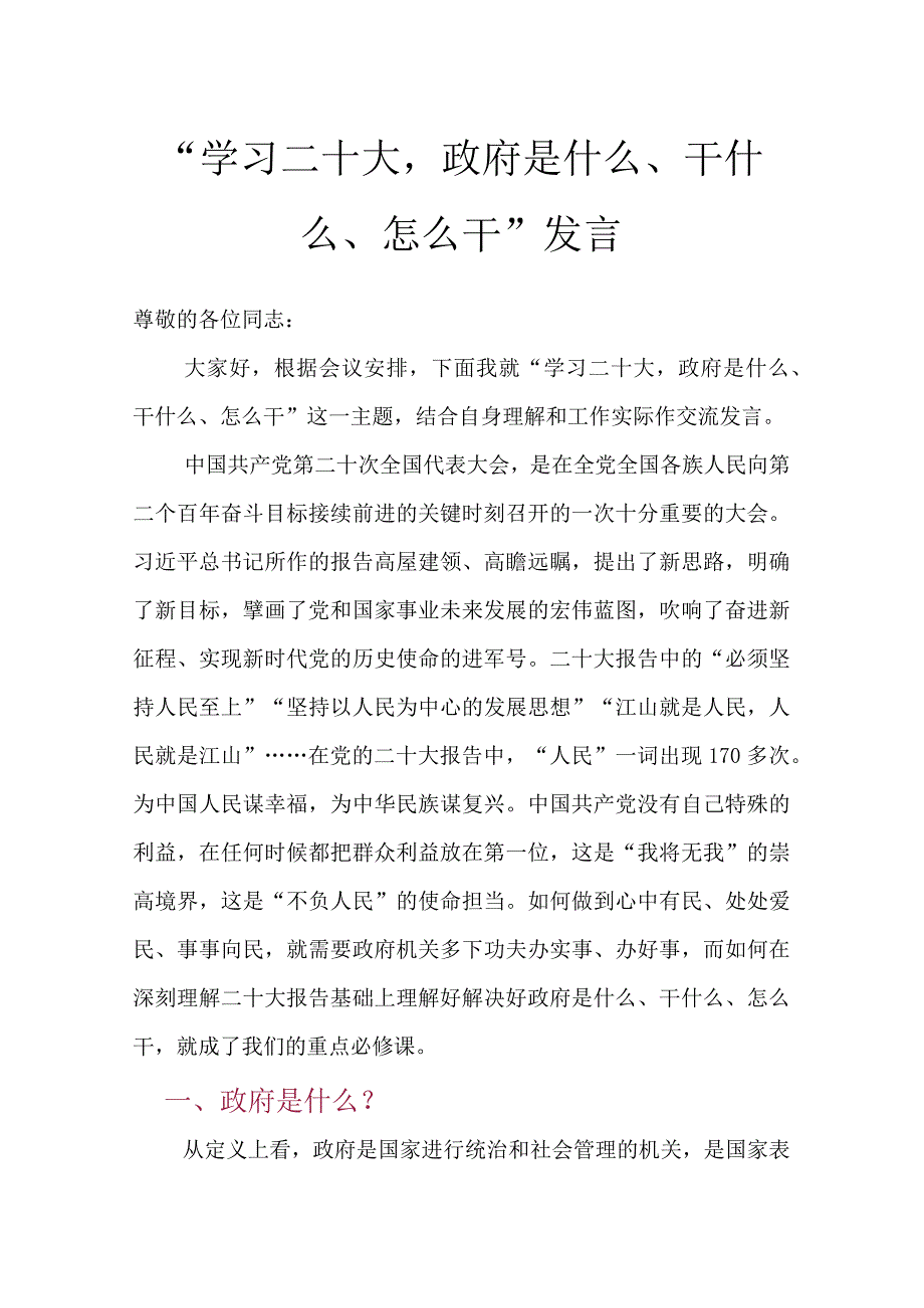 学习二十大政府是什么干什么怎么干发言.docx_第1页