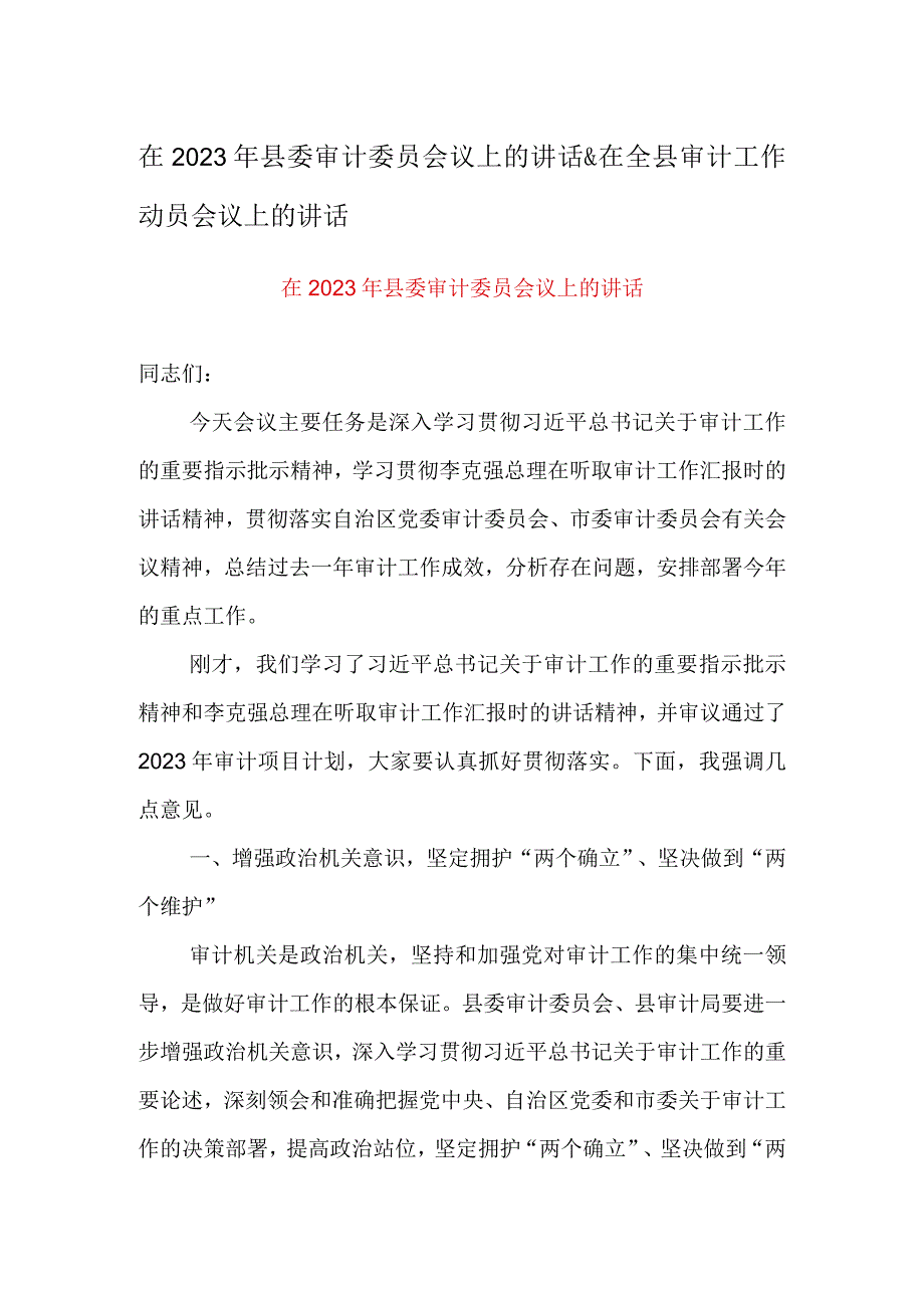 在2023年县委审计委员会议上的讲话&在全县审计工作动员会议上的讲话.docx_第1页