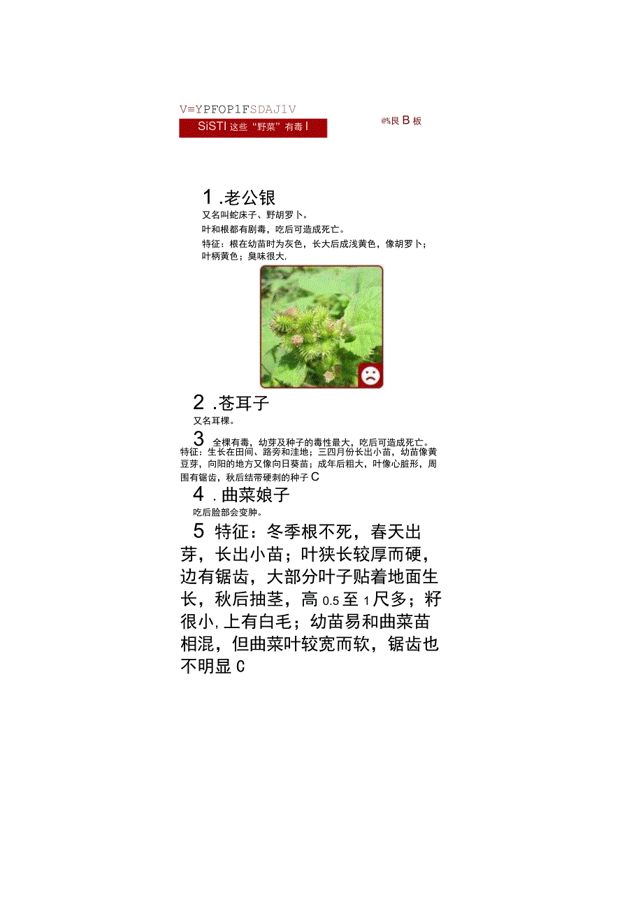 含有剧毒的野菜.docx_第2页