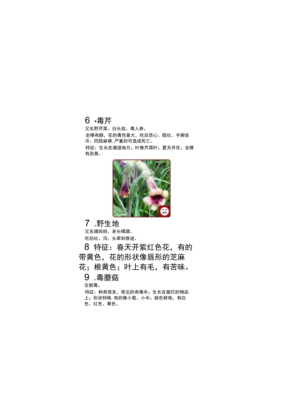 含有剧毒的野菜.docx_第3页