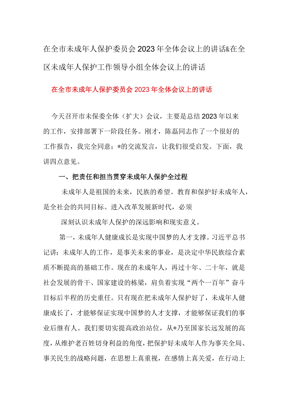 在全市未成年人保护委员会2023年全体会议上的讲话&在全区未成年人保护工作领导小组全体会议上的讲话.docx_第1页