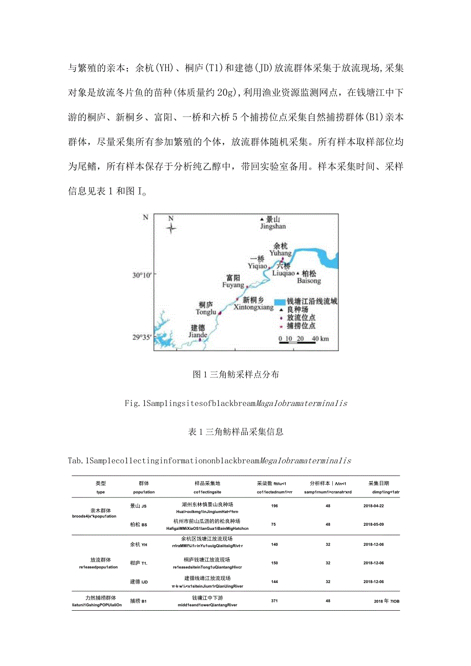 基于COⅠ基因研究钱塘江三角鲂亲本放流和自然捕捞群体的遗传多样性与遗传分化.docx_第3页