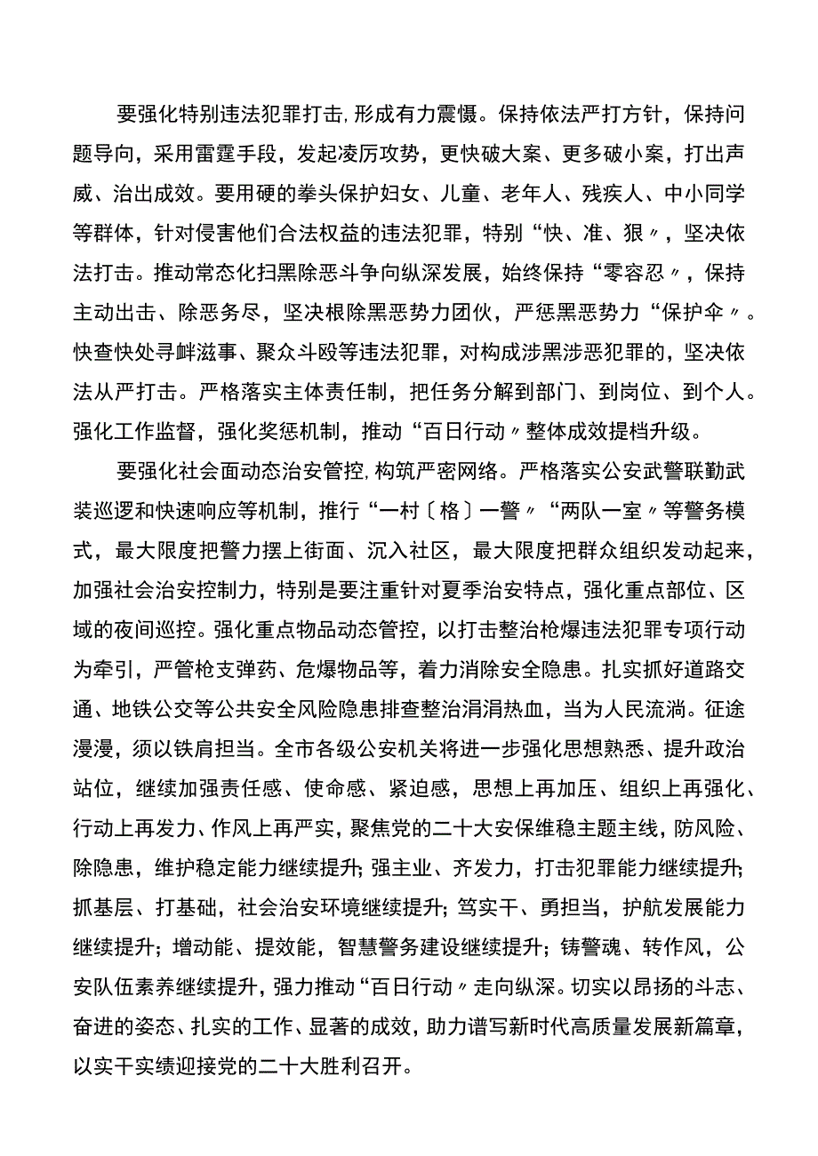 在市级公安夏季治安打击整治百日行动工作推进会.docx_第2页