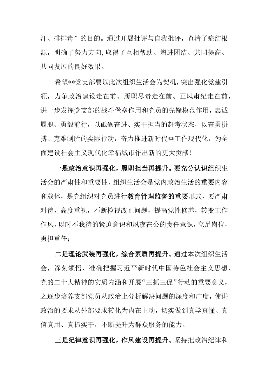 国企党支部班子2023年度基层专题组织生活会和组织评议党员大会上的点评讲话提纲共3篇.docx_第2页