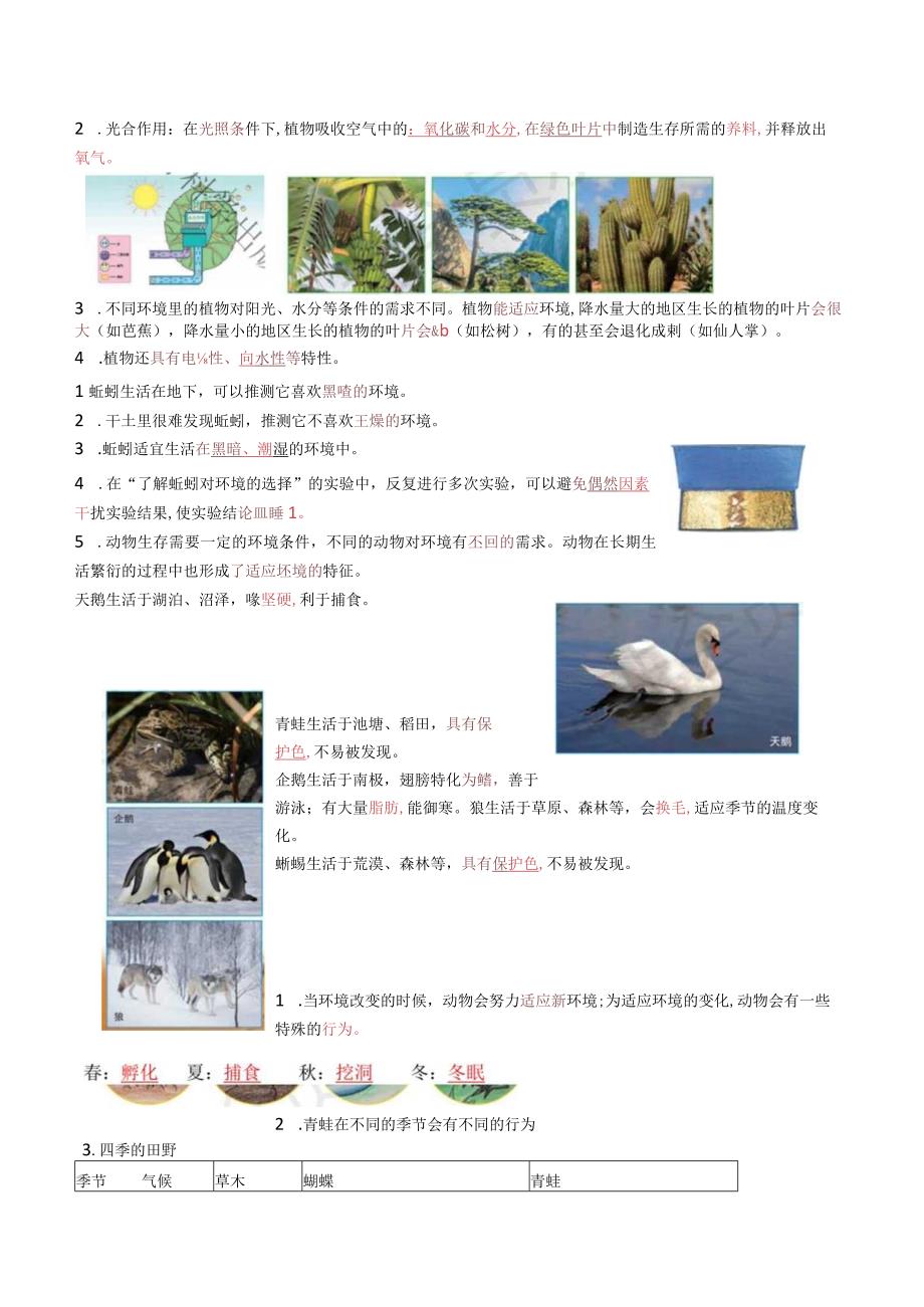 小学五年级下册科学复习资料12页.docx_第2页