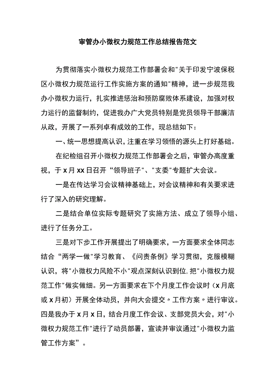 审管办小微权力规范工作总结报告范文.docx_第1页