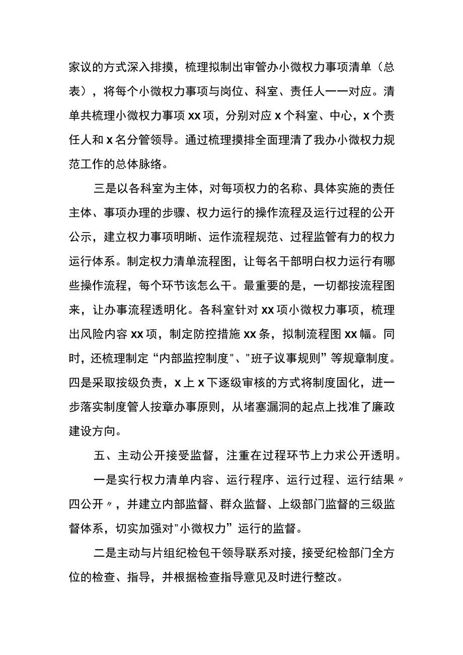 审管办小微权力规范工作总结报告范文.docx_第3页