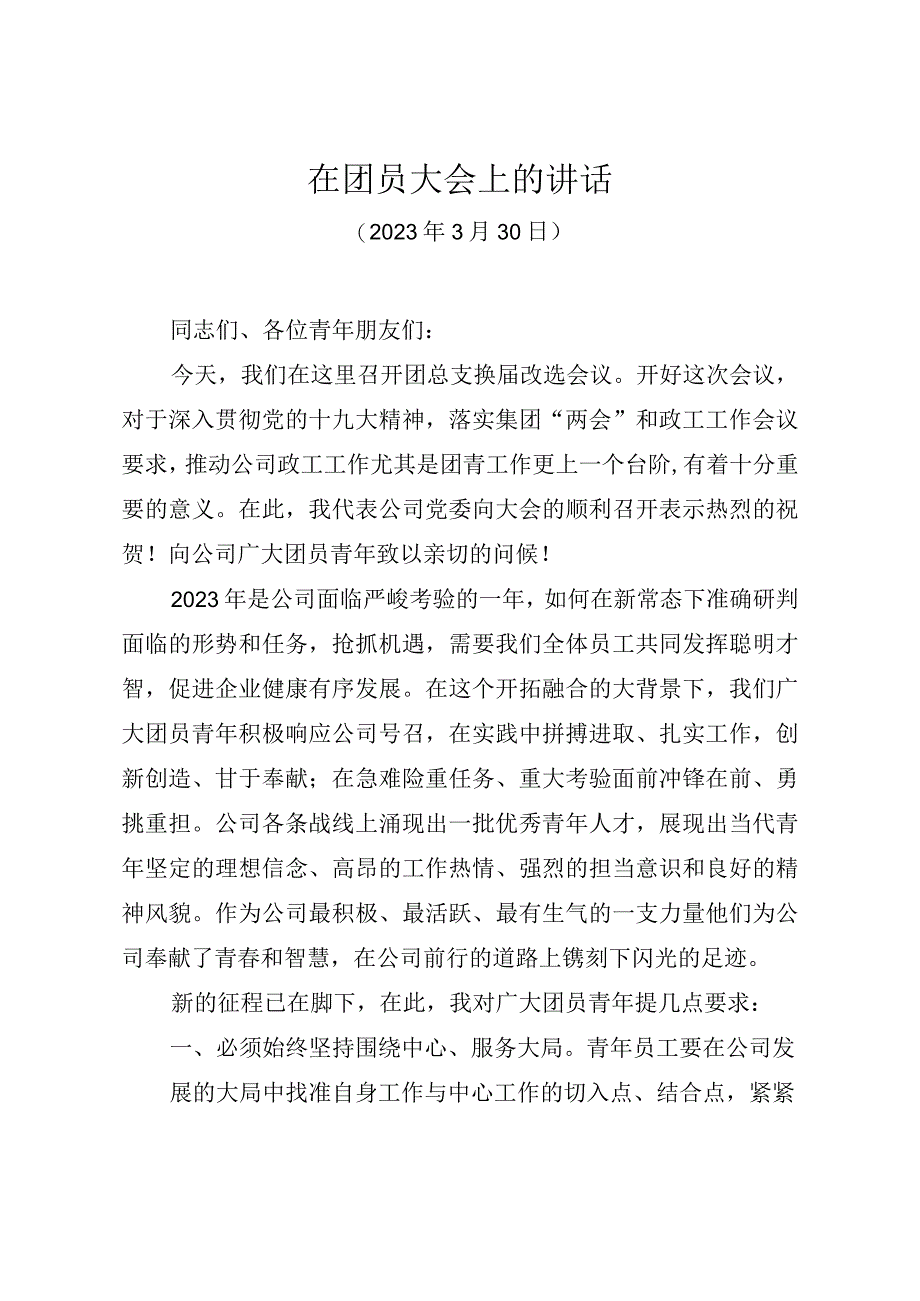 在公司团员大会上的讲话.docx_第1页