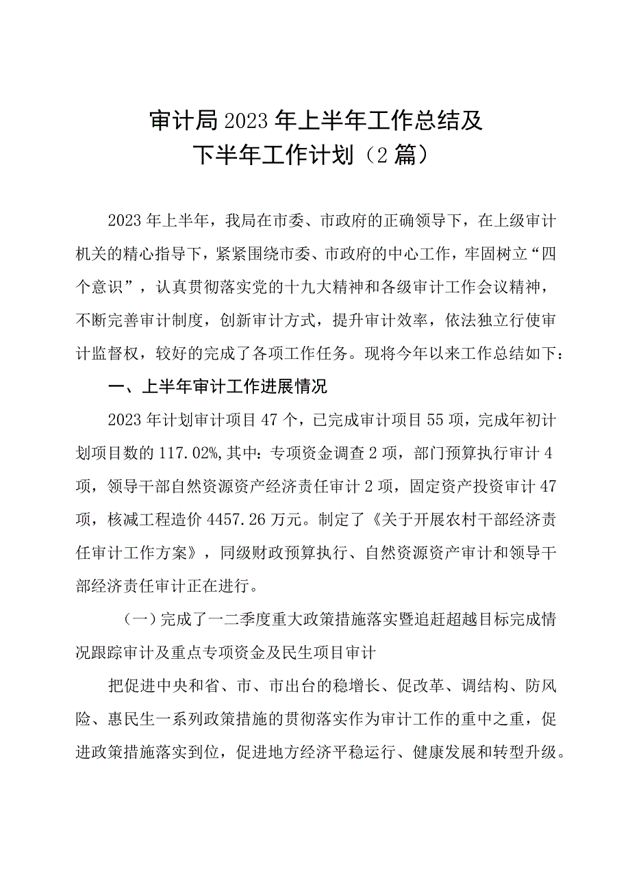 审计局2023年上半年工作总结及下半年工作计划2篇.docx_第1页