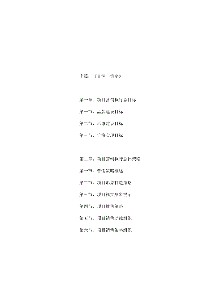 房地产项目营销策略报告.docx_第2页