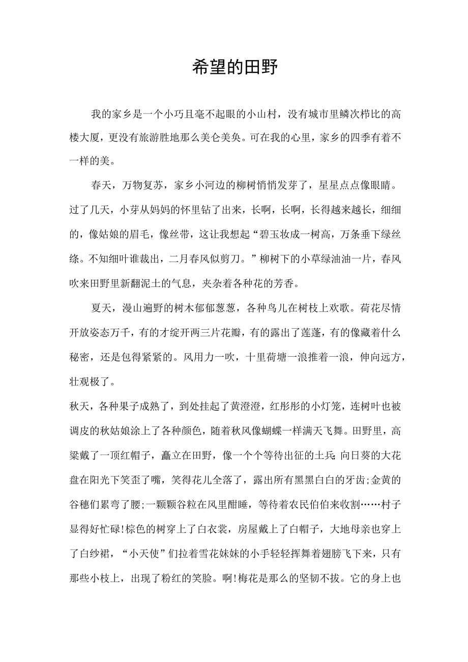 征文希望的田野.docx_第1页