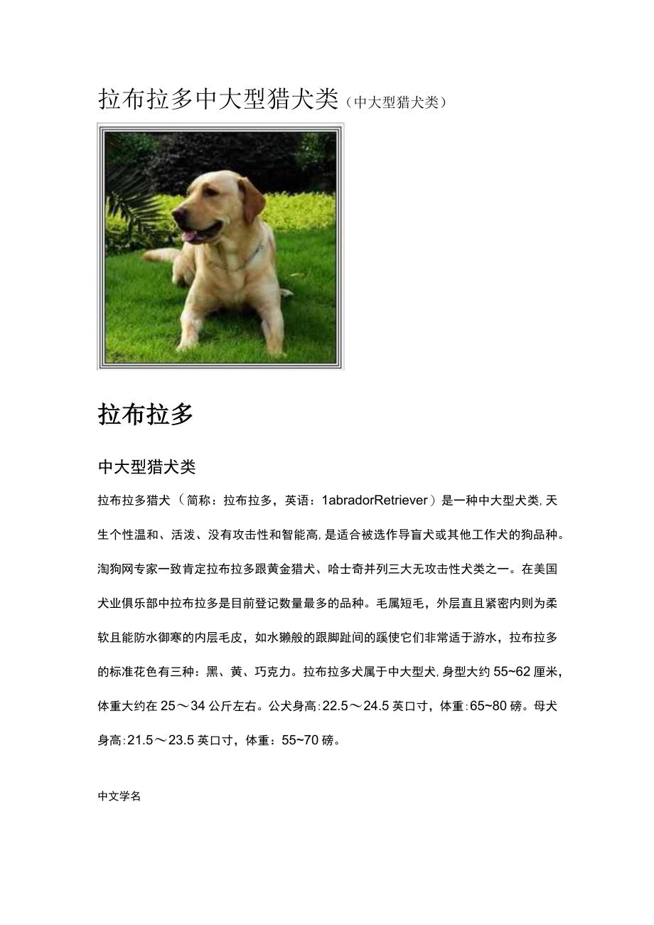 拉布拉多中大型猎犬类.docx_第1页