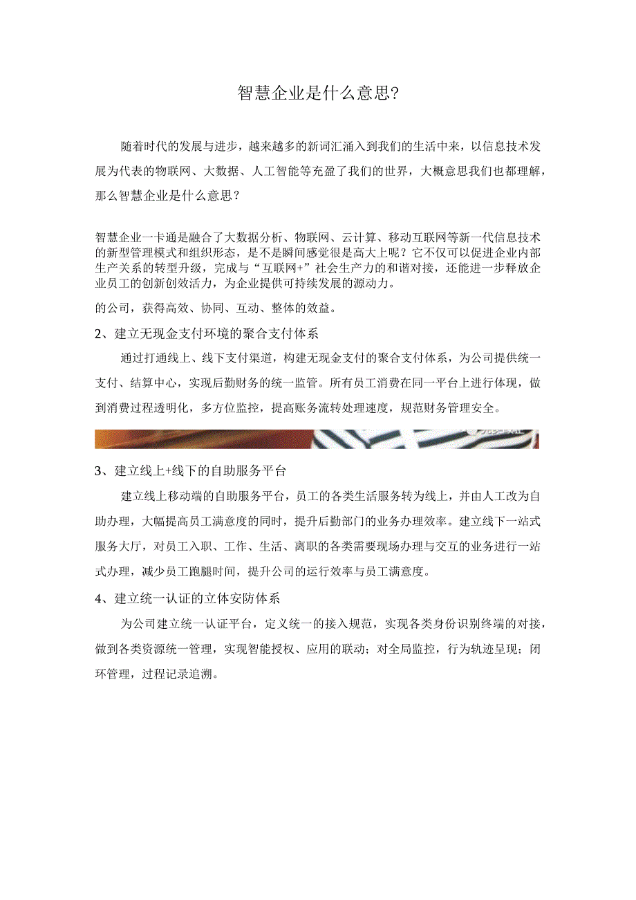 智慧企业是什么意思.docx_第1页