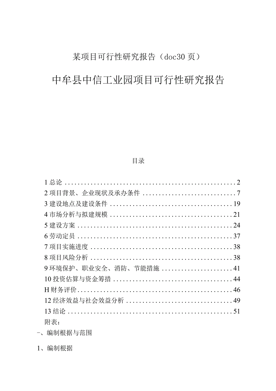 某项目可行性研究报告(doc30页).docx_第1页