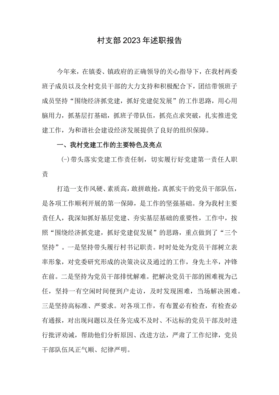 村支部2023年述职报告.docx_第1页