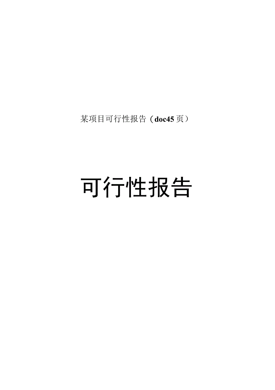 某项目可行性报告(doc45页).docx_第1页