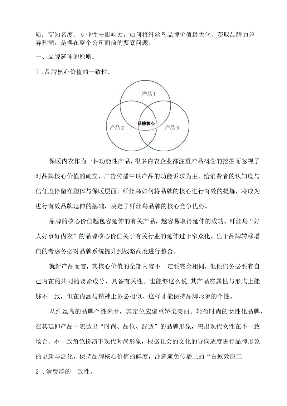 某科技发展品牌延伸方案.docx_第2页