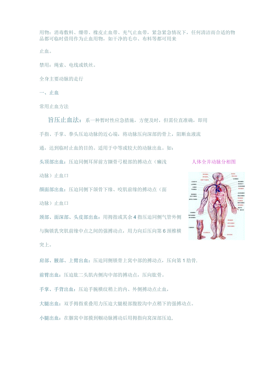 止血包扎固定搬运.docx_第2页