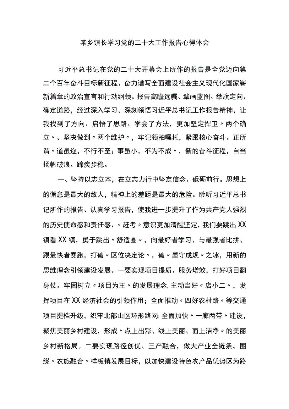 某乡镇长学习党的二十大工作报告心得体会.docx_第1页