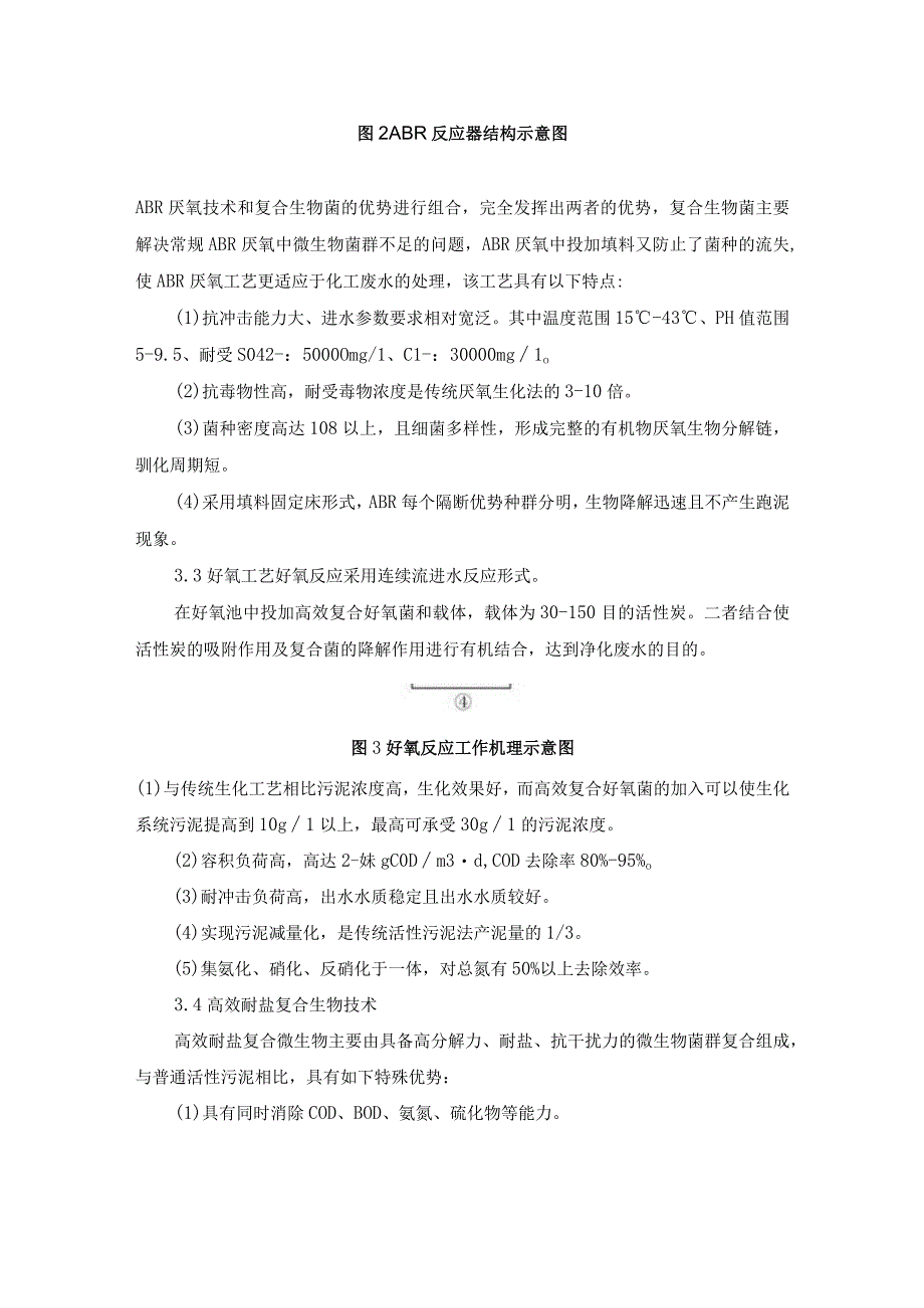 氯硝柳胺乙醇胺盐生产废水处理工艺.docx_第3页