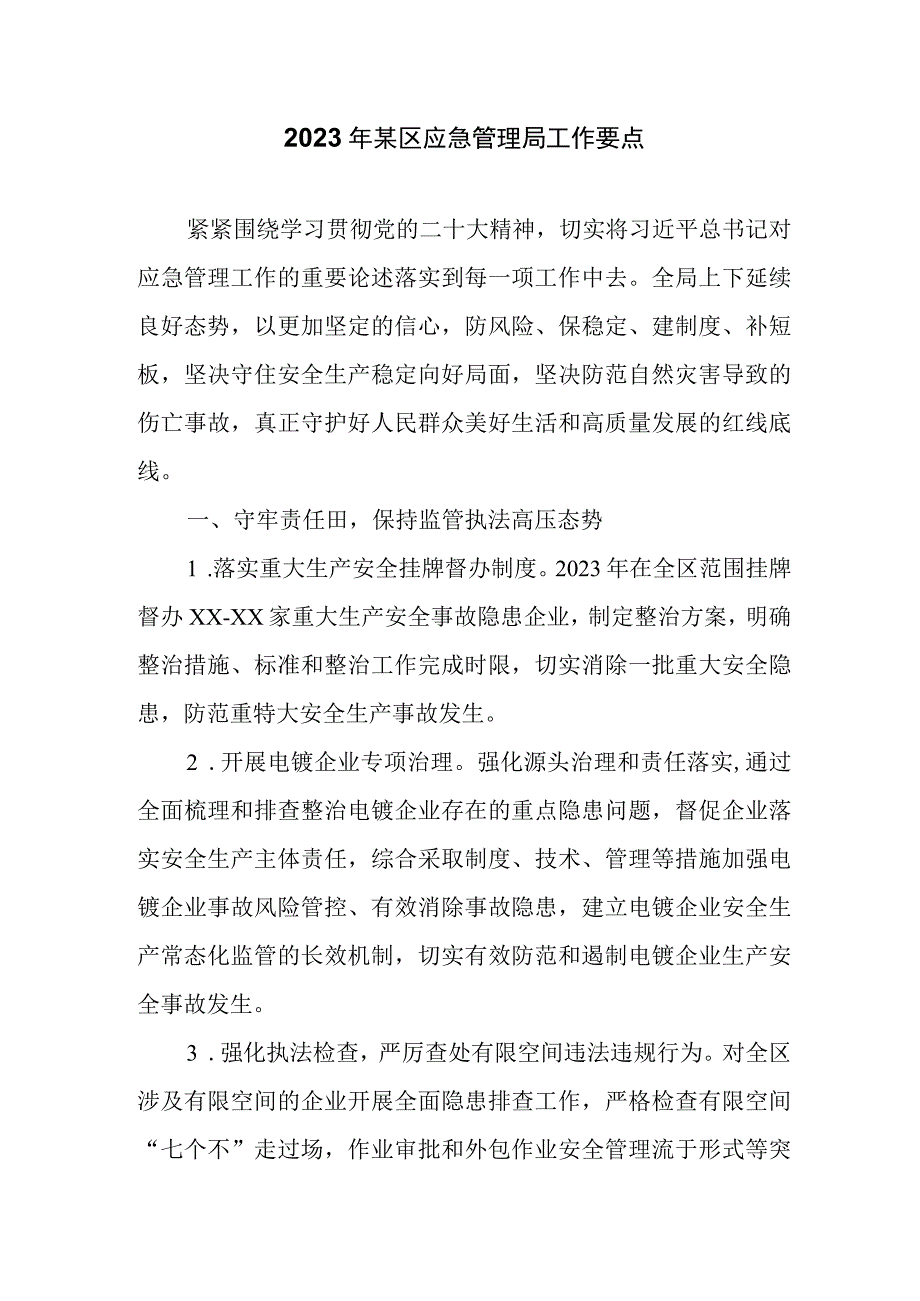 2023年某区应急管理局工作要点.docx_第1页