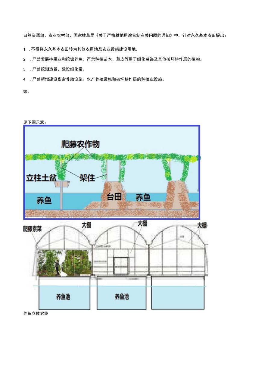 积极发展立体农业.docx_第3页