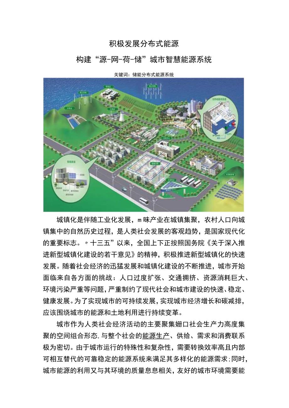 积极发展分布式能源构建源网荷储城市智慧能源.docx_第1页