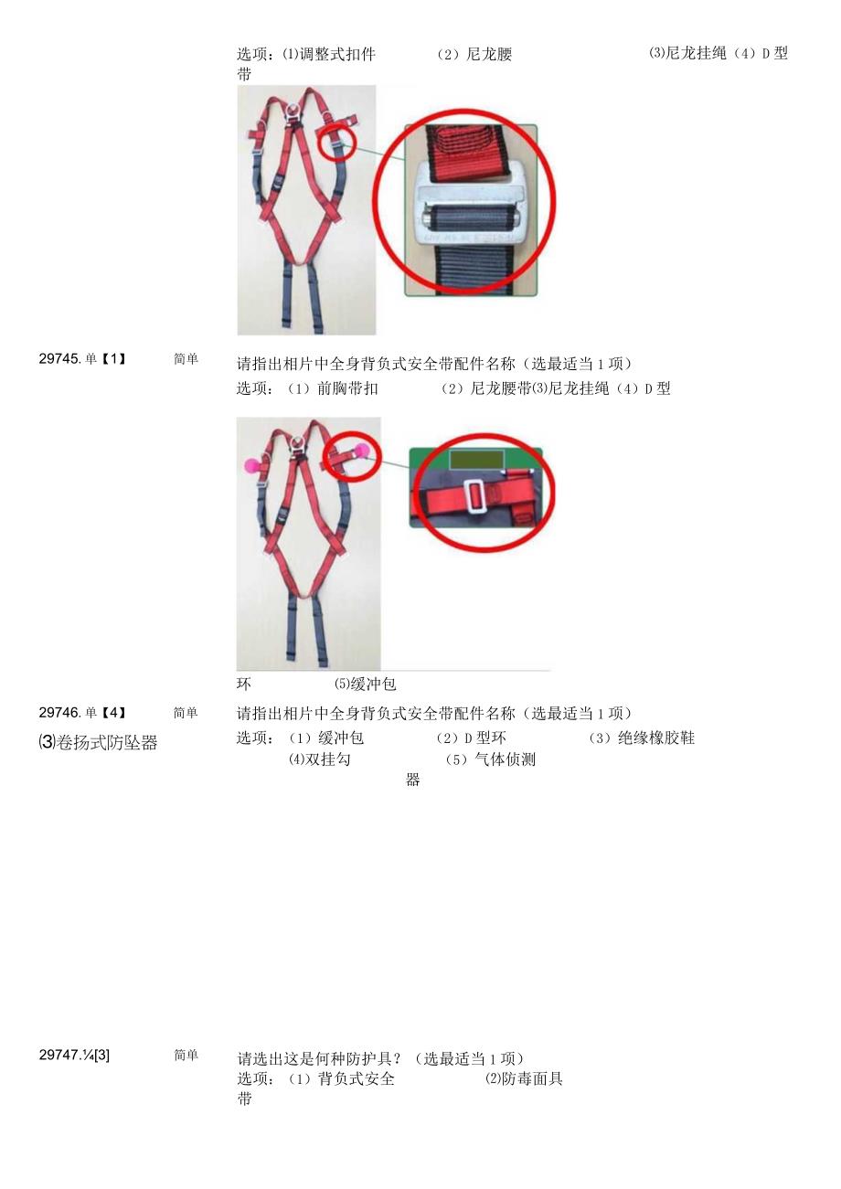 背负式安全带实作.docx_第2页