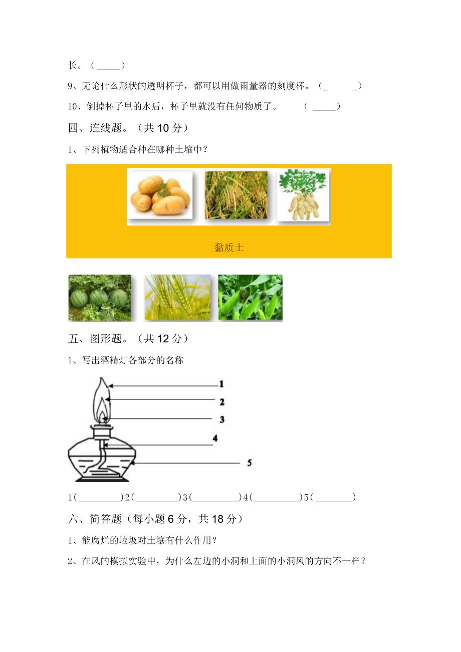 苏教版三年级科学下册期中试卷及参考答案.docx_第3页