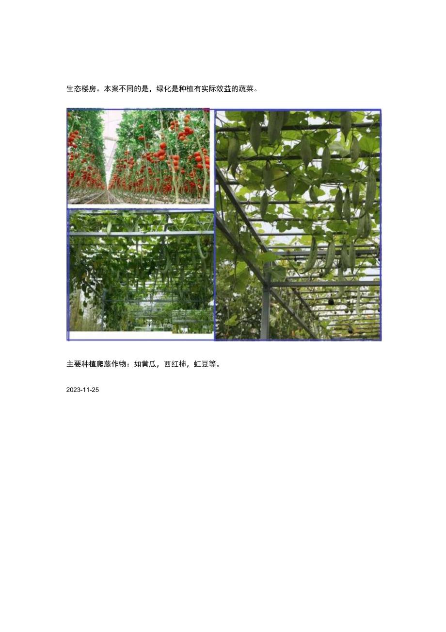 蔬菜花园小区.docx_第3页