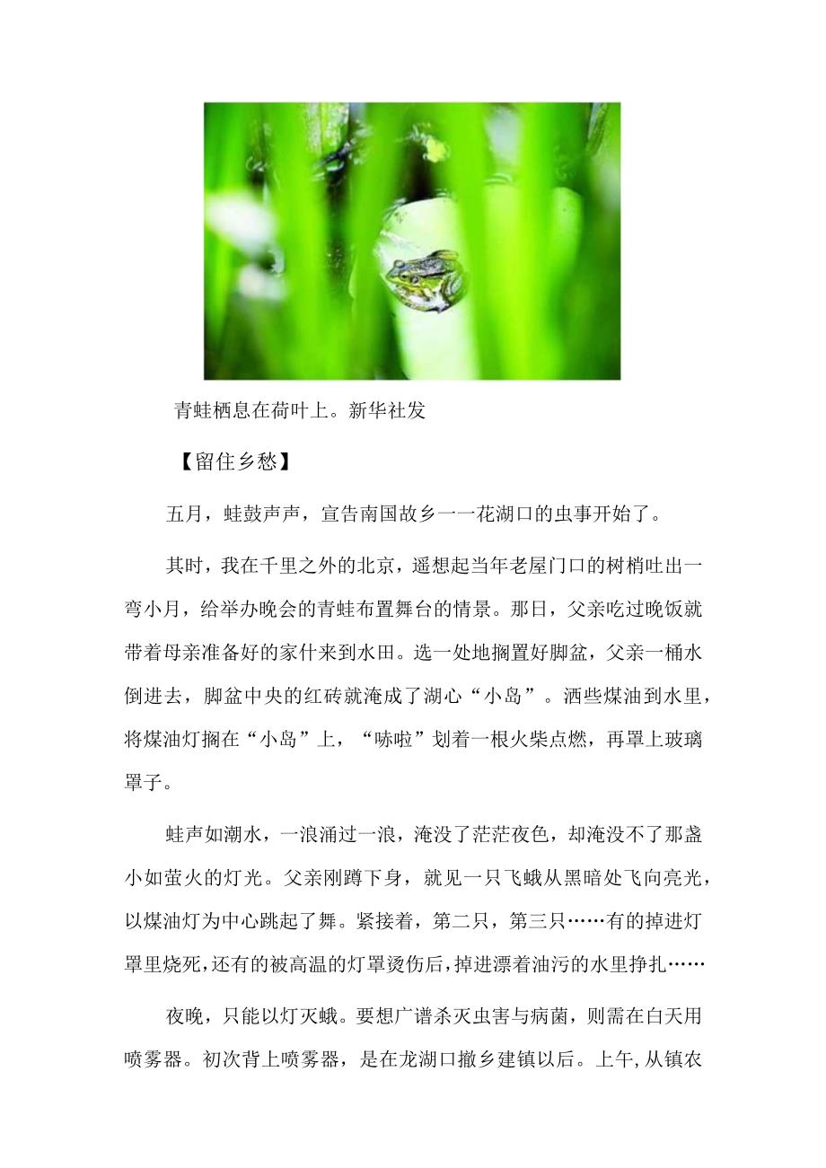 茈湖口虫事.docx_第2页