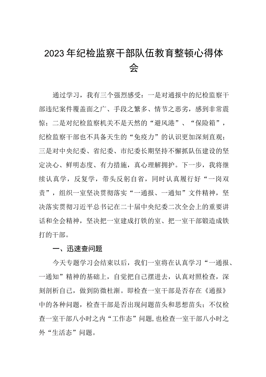 2023全国纪检监察干部队伍教育整顿教育活动的心得体会6篇.docx_第1页