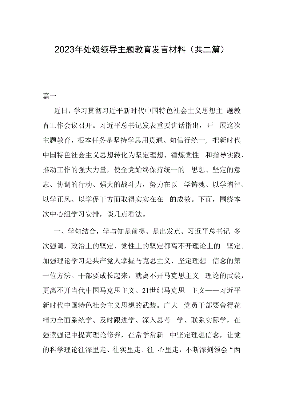 2023年处级领导主题教育发言材料(共二篇).docx_第1页