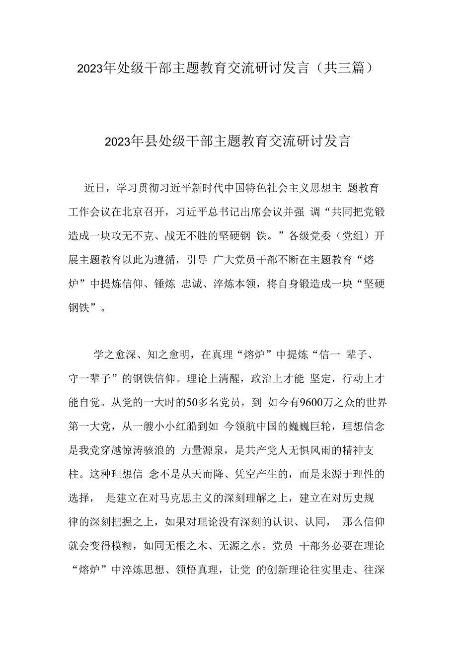 2023年处级干部主题教育交流研讨发言(共三篇).docx_第1页