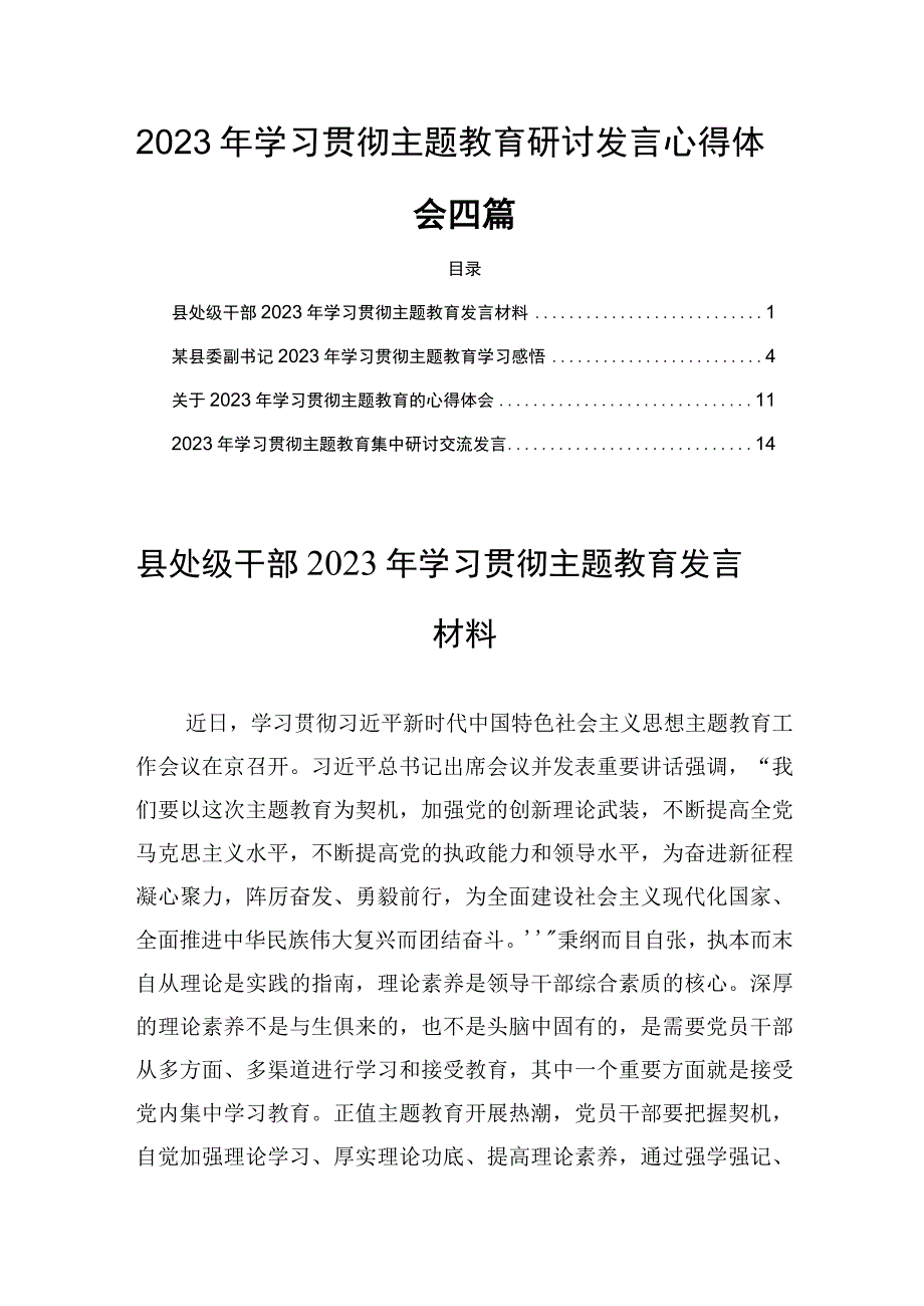 2023年学习贯彻主题教育研讨发言心得体会四篇.docx_第1页