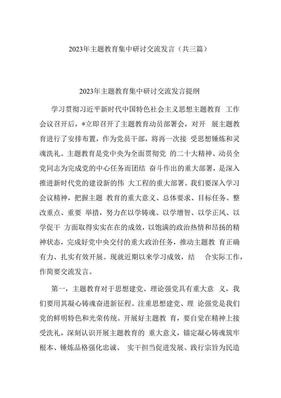 2023年主题教育集中研讨交流发言(共三篇).docx_第1页